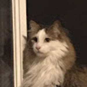 Meet your Posher, Alex